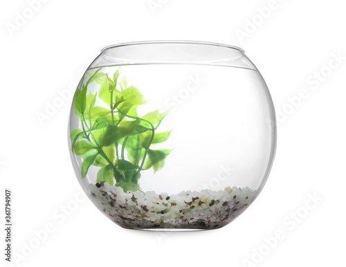 Photography Glass fish bowl with clear water, plant and decorative pebble isolated on white