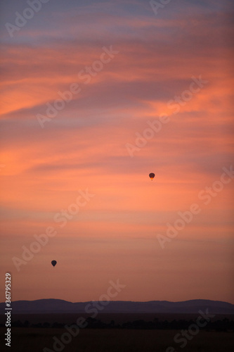 Hot air ballons in the sky during sunsrise at Masai Mara, Kenya