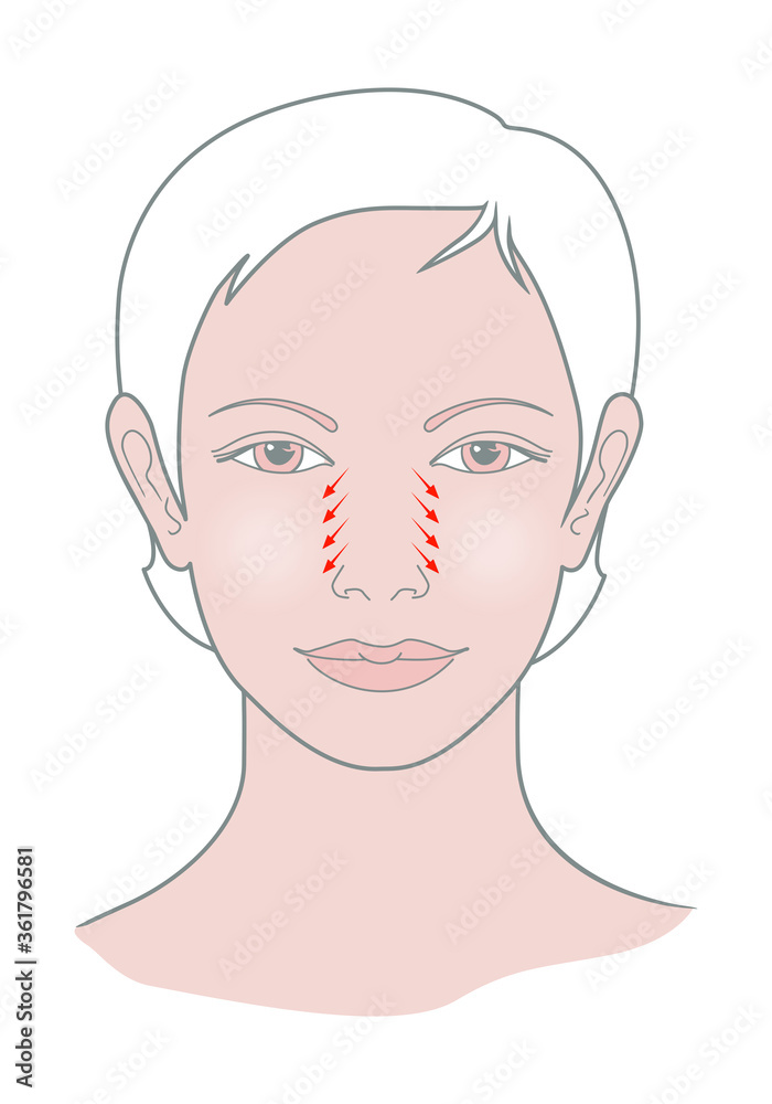 Shiatsu points face massage, acupuncture. Female head view. Vector. Isolated on white background Shiatsu points face massage, acupuncture. Female head view. Vector. Isolated on white background