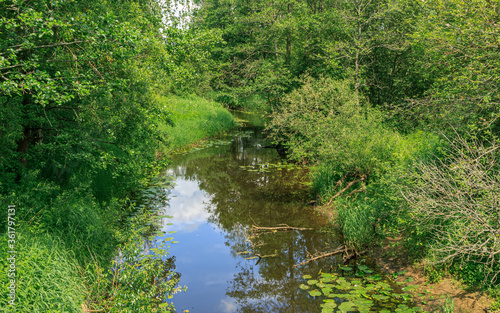 River view and green plants around