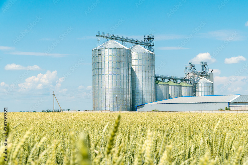 Modern grain elevator in a green wheat field. Modern grain elevator in a green wheat field.