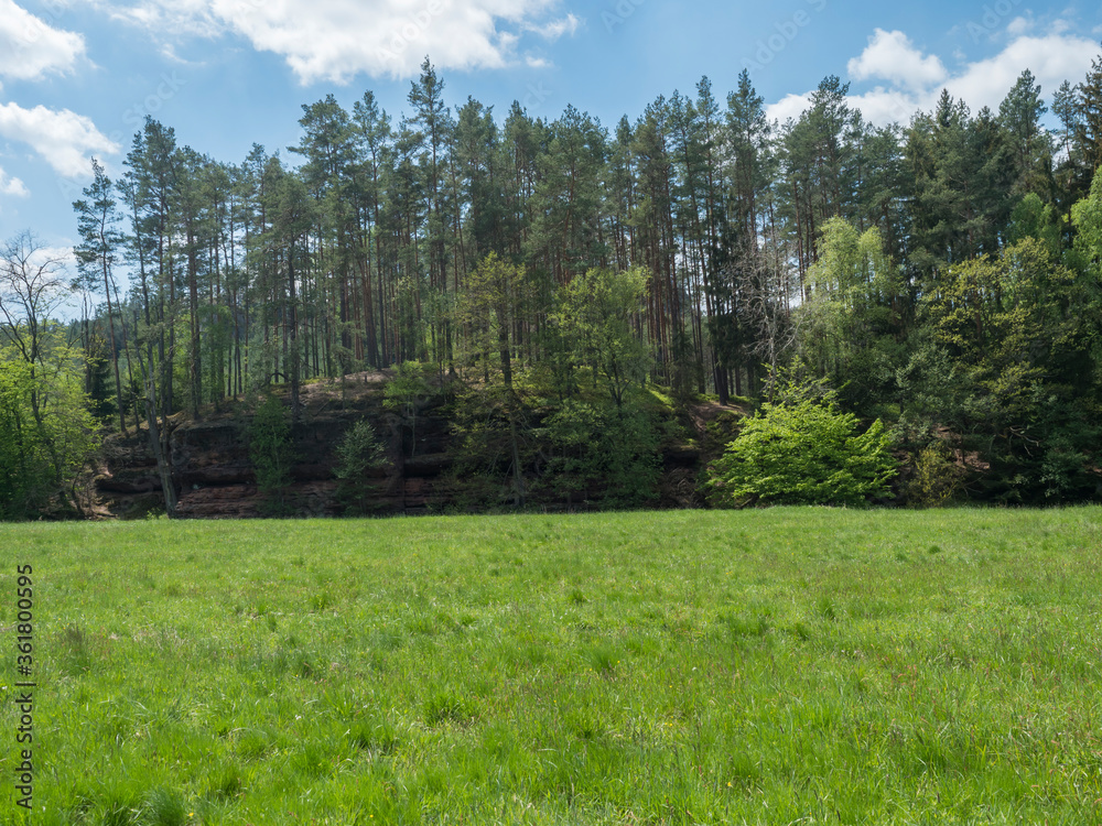 idyllic spring landscape with lush green grass, fresh deciduous, spruce and pine tree forest with sandstone rock, blue sky white clouds background, horozontal, copy space idyllic spring landscape with lush green grass, fresh deciduous, spruce and pine tree forest with sandstone rock, blue sky white clouds background, horozontal, copy space