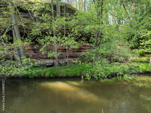 view over shallow river stream with grassy shore with lush green trees and rock in golden warm light. Late spring sunny afternoon, vibrant colors