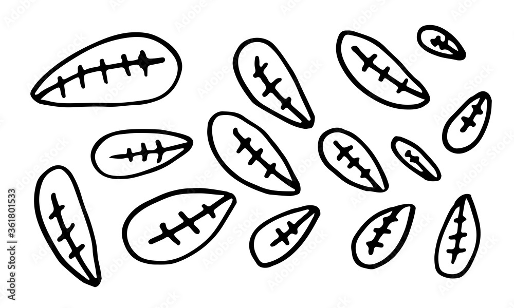 Collection of hand drawn leaves. Doodle illustration. Simple floral elements isolated on white background Collection of hand drawn leaves. Doodle illustration. Simple floral elements isolated on white background