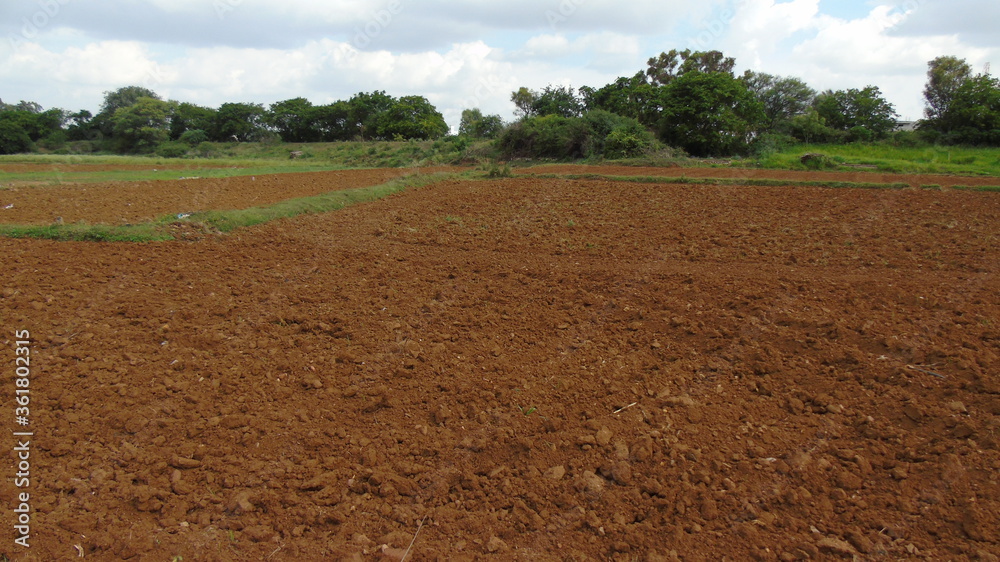 plowed field in the morning