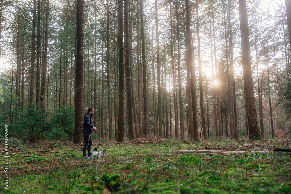 Frühlingsspaziergang im Wald mit dem Hund