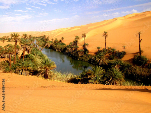 LIBYA. SAHARA  DESERT OASIS NEAR SEBHA.  photo