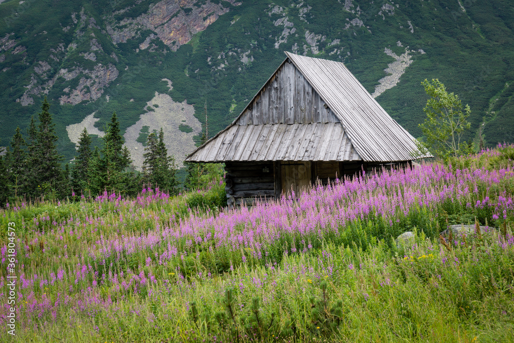 cabaña, Valle de gasienicowa , parque nacional Tatra, voivodato de la Pequeña Polonia, Cárpatos,  Polonia, europe