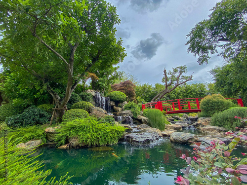 Japanese style garden. Waterfall, red bridge and Koi fish pond in the tropical garden.