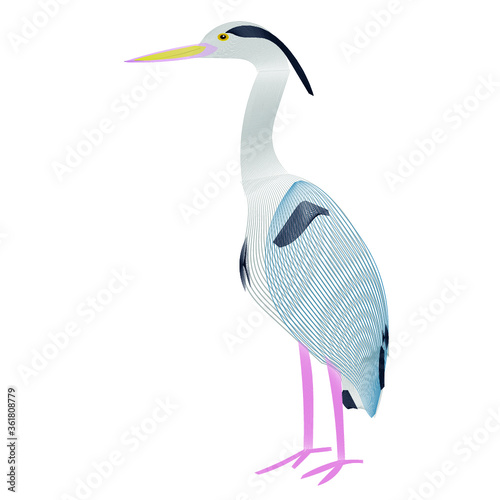  Animals Blend  - Heron