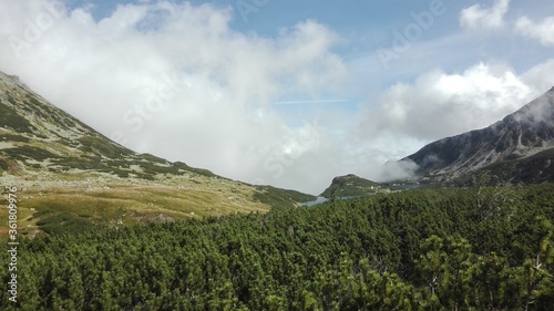 Mountain glen, covered with green forest, opening view on calm blue sky filled with white clouds