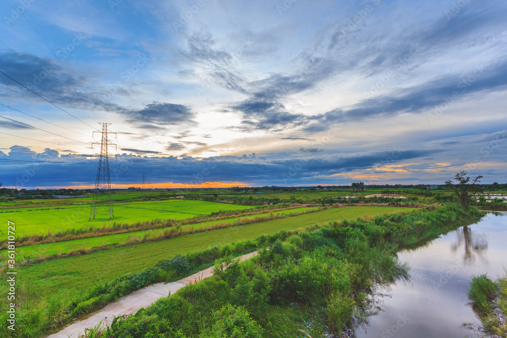 Landscape of green paddy rice farm during storm cloud sunset Landscape of green paddy rice farm during storm cloud sunset