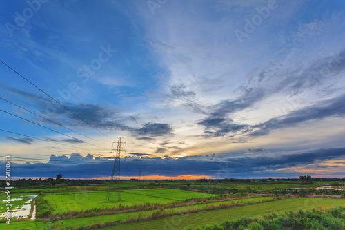 Landscape of green paddy rice farm during storm cloud sunset