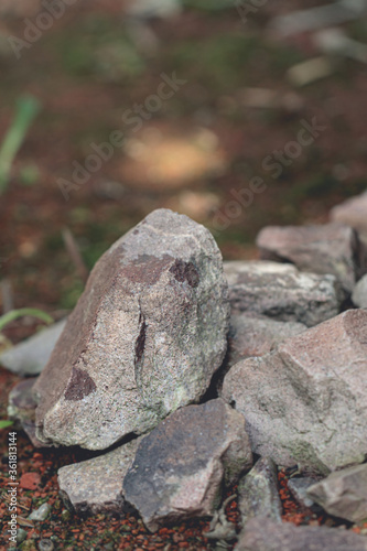 arranged stones in the botanical garden