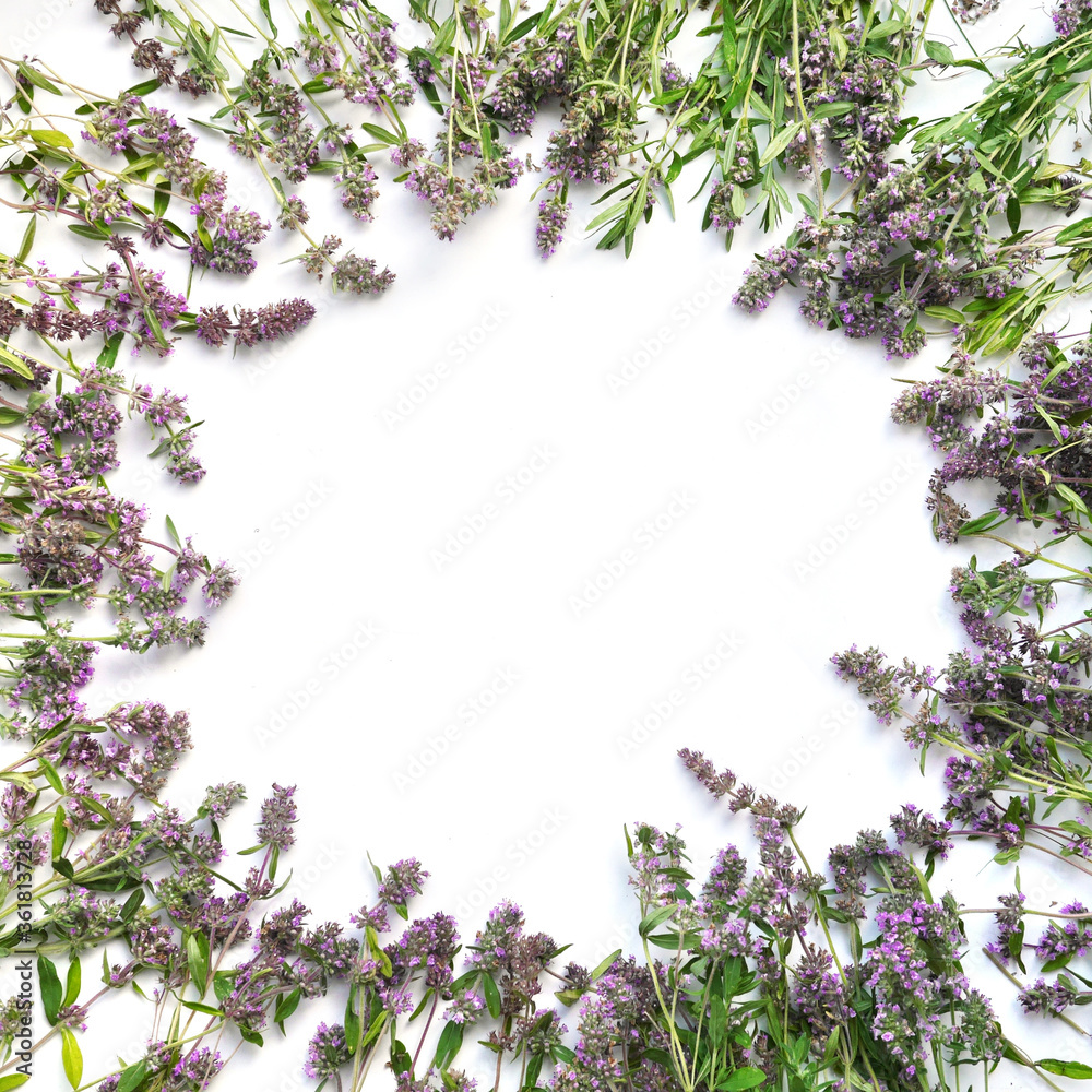 Fototapeta premium Oregano flowers bouquet isolated on white background, top view