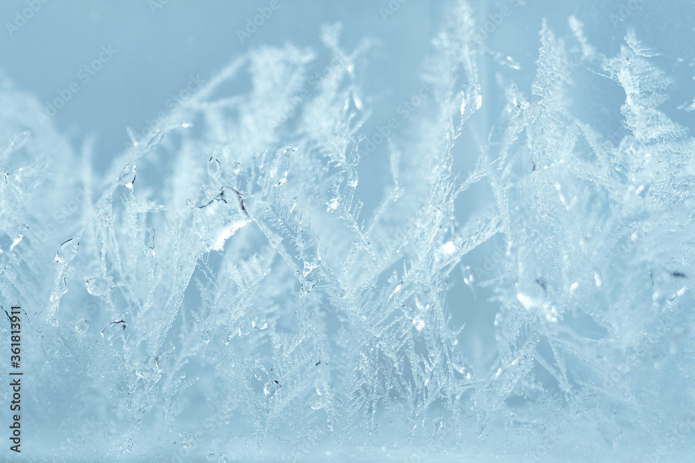 Fototapeta premium Closeup winter window pane coated shiny icy frosted patterns. Abstract beautiful ice flowers pattern, macro view background. Snowflakes on winter glass, natural texture. New year Christmas backdrop.