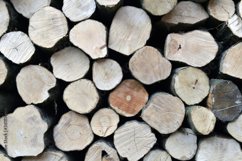 Stack of wooden logs