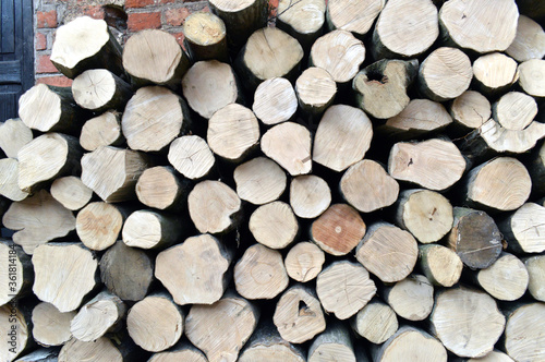 Stack of wooden logs