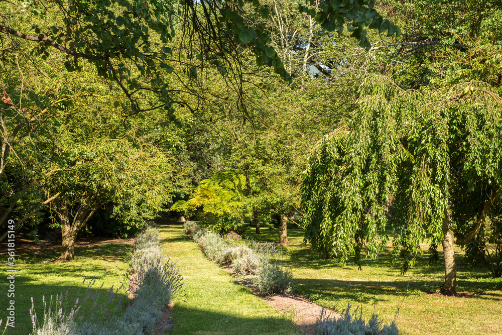 View of the avenues of the park of Ninfa, an ancient medieval town located in the province of Latina, Italy. 