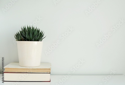 Empty wall mockup for artwork, wall hangings, wall decal display, minimalist interior, books, plant.
