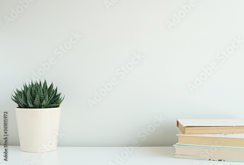 Картината върху платно Empty wall mockup for artwork, wall hangings, wall decal display, free space for text, minimalist interior, books, plant