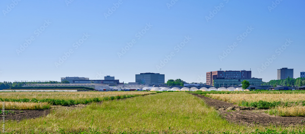 Agricultural test plots with different sorts of plants with in background buildings of the Wageningen university, WUR, and greenhouses on a sunny day.