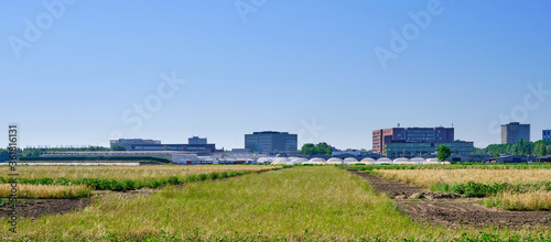 Agricultural test plots with different sorts of plants with in background buildings of the Wageningen university, WUR, and greenhouses on a sunny day.