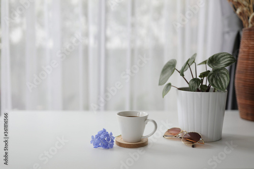 coffee cup with plant and brown sunglasses with purple flower on white desk with see through curtain  © paladin1212