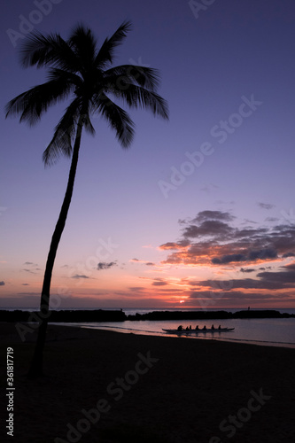 Sunset ocean scene, palm tree silhouette, rowing boat. Purple and orange sky in Hawaii. 