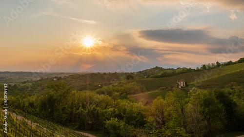 Evening storm in the vineyards