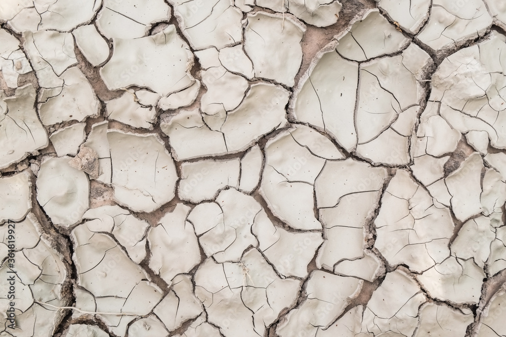 Fototapeta premium Pattern dry ground soil field that is broken from drought in the summer close-up.