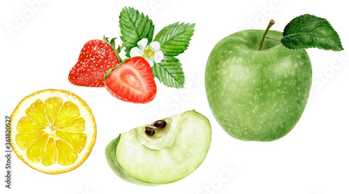 Fototapeta Naklejka Na Ścianę i Meble -  Green apple lemon slice strawberry watercolor illustration isolated on white background
