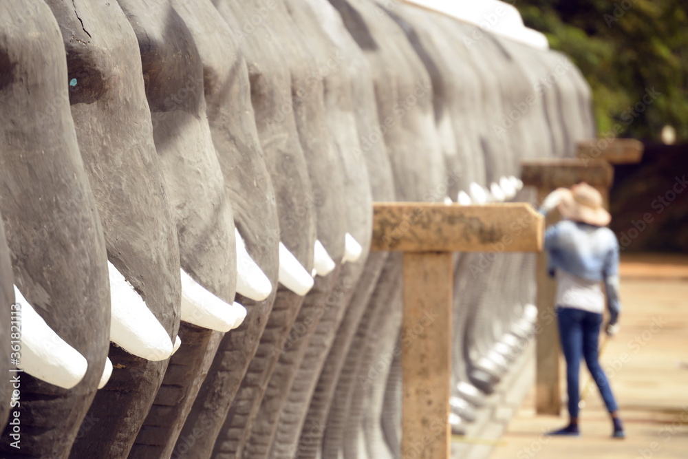 row of elephant statues