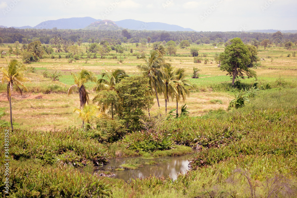 nature landscape nature landscape