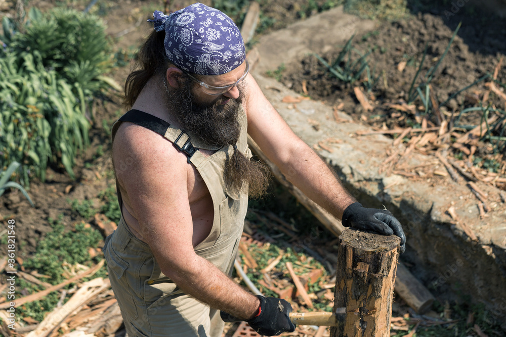 A middle-aged bearded man in a bandana cuts logs with an ax. Brutal in overalls does the hard work on a hot day.