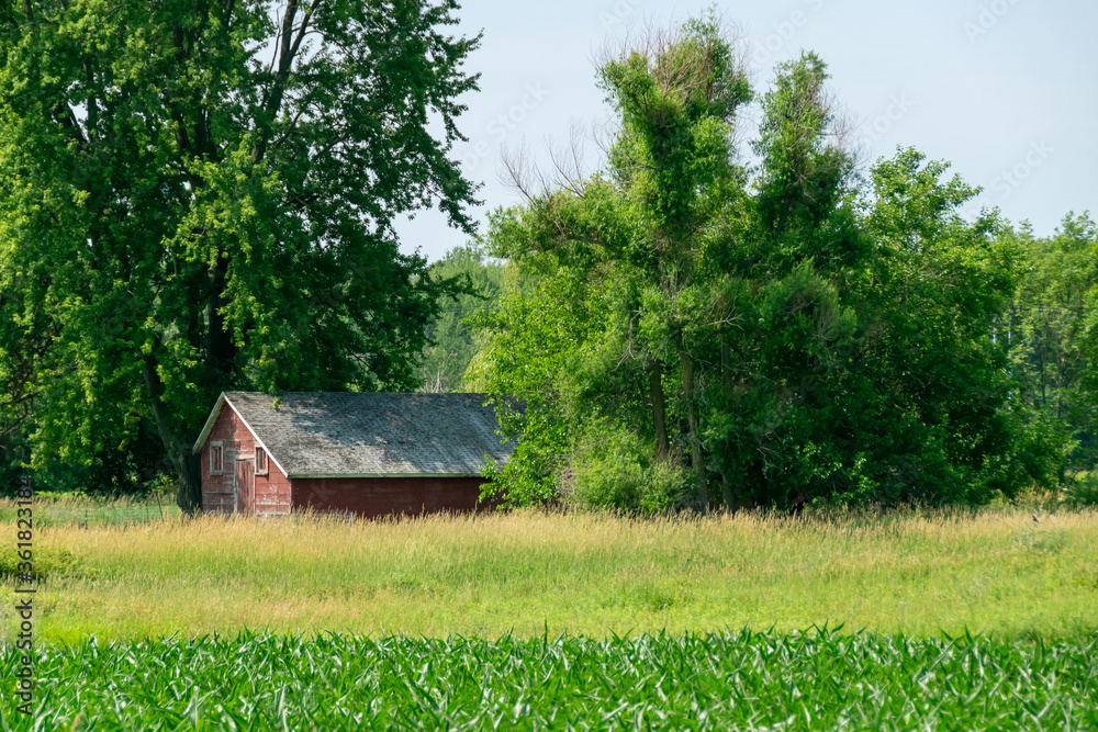 red barn 6 red barn 6