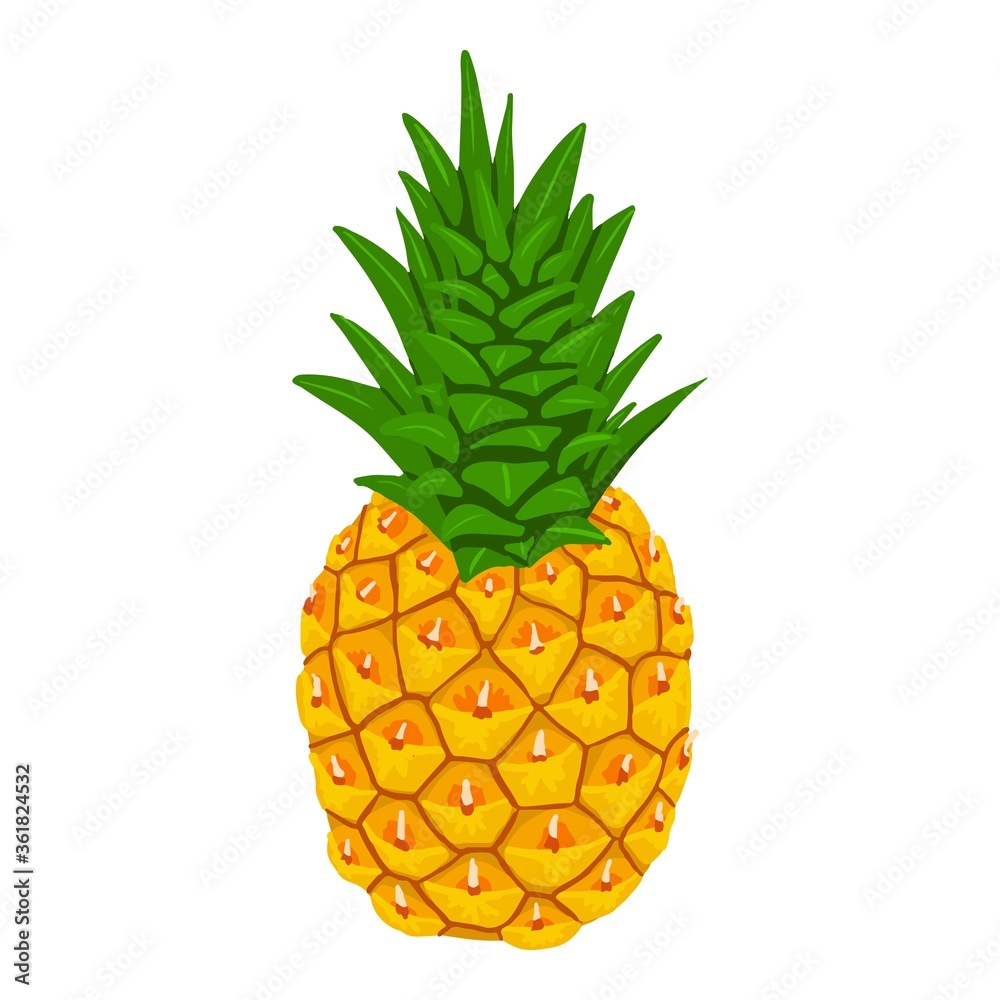 Whole pineapple icon. Isometric of whole pineapple vector icon for web design isolated on white background