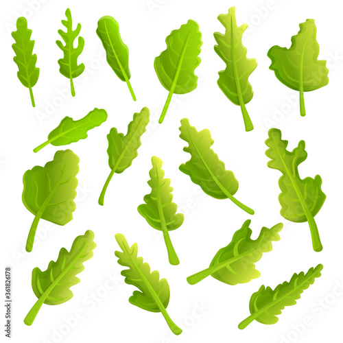 Arugula icons set. Cartoon set of arugula vector icons for web design