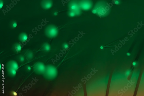Abstract background. Fantastic fancy plants with colored branches with luminous dots at the ends. Lamp from a panicle of optical fibers on a dark background.