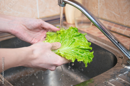 Man's hands washing lettuce leaves. Water flowing on red lettuce. Part of vegetarian snack. hygiene, health care and safety concept