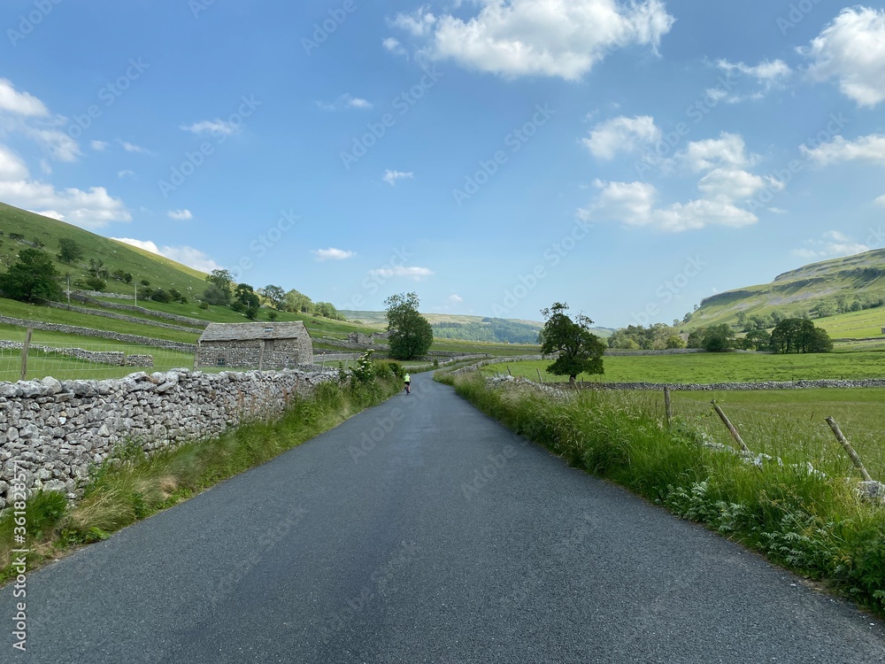 Country road, leading to Kettlewell, with dry stone walls, and plants in, Kettlewell, Skipton, UK