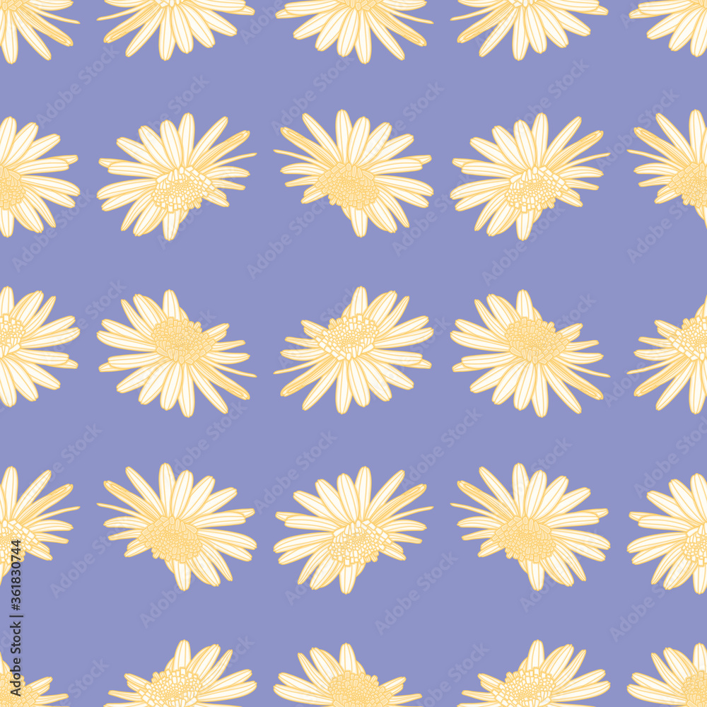 Paris Daisy vector background pattern. Marguerite flower seamless illustration. Paris Daisy vector background pattern. Marguerite flower seamless illustration.