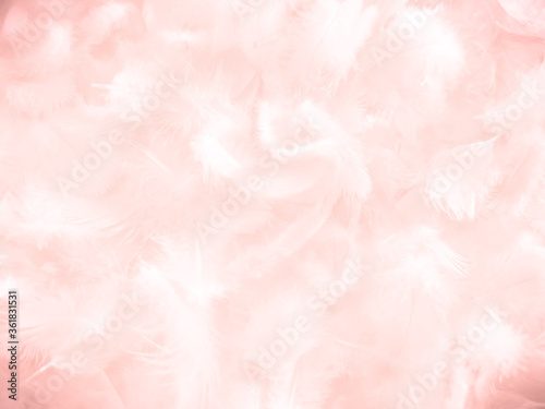 Beautiful abstract white and pink feathers on white background and soft white feather texture on pink pattern and pink background, feather background, pink banners © Weerayuth