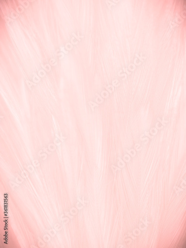 Beautiful abstract white and pink feathers on white background and soft white feather texture on pink pattern and pink background, feather background, pink banners