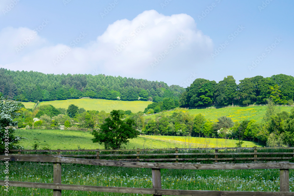 Landscape of green grass field with beautiful blue sky in hot sunny day, Beautiful view day time view at countryside in England in Summer Landscape of green grass field with beautiful blue sky in hot sunny day, Beautiful view day time view at countryside in England in Summer