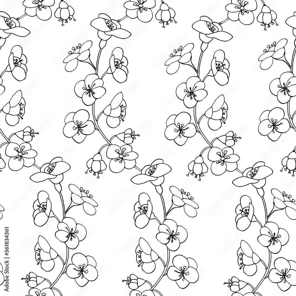 Wildflowers seamless floral pattern. linear hand drawing. Summer time, flowering. For paper, cover, fabric, gift wrap, wall art, home decor Wildflowers seamless floral pattern. linear hand drawing. Summer time, flowering. For paper, cover, fabric, gift wrap, wall art, home decor