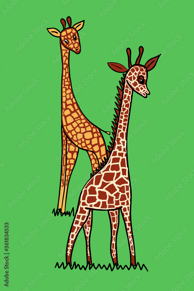 Fototapeta premium animated giraffes couple on grassland, as work sheet for tutorial how to draw animals