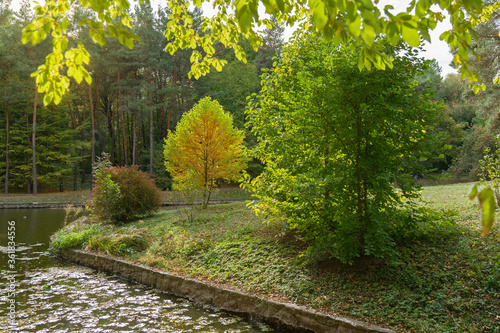 Autumn tree picturesque lake landscape, Sofievka park, Ukraine, Uman photo