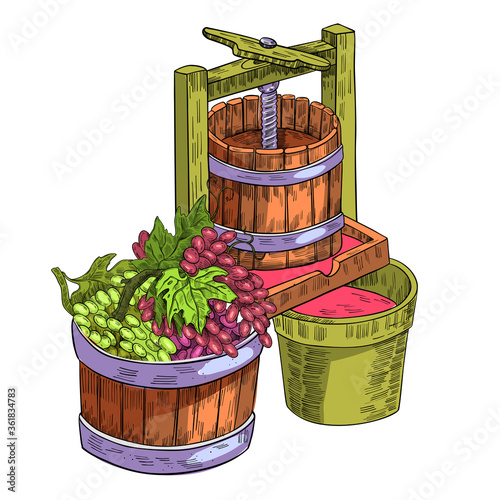 Wine press vector illustration with vine, grape, wooden cask isolated on white. Sketch drawing clipart with beverages making process in engraving style. Autumn harvest clipart for labels, packages