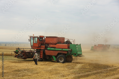 Harvester in the field harvests grain crops. Ukraine